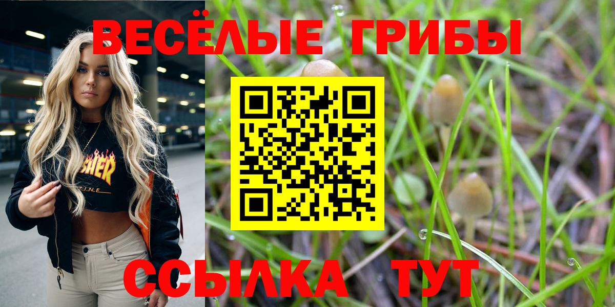 Псилоцибиновые грибы Magic Shrooms Сосновый Бор