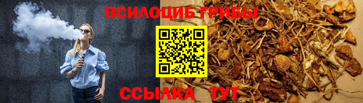 Галлюциногенные грибы Magic Shrooms  Вход с VPN  продажа наркотиков  Сосновый Бор 